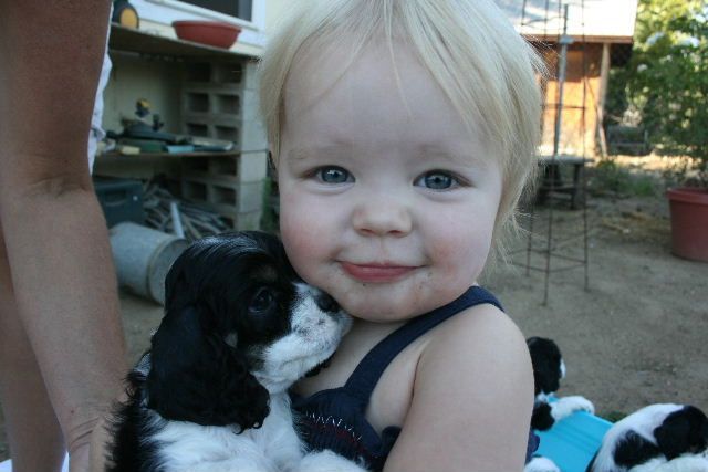 A little girl is holding a black and white puppy