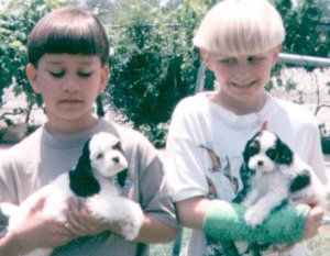 A boy and a girl are holding two Cocker Spaniel puppies in their hands.