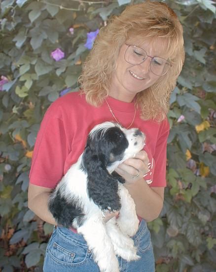 A woman in a red shirt is holding a black and white Cocker Spaniel puppy