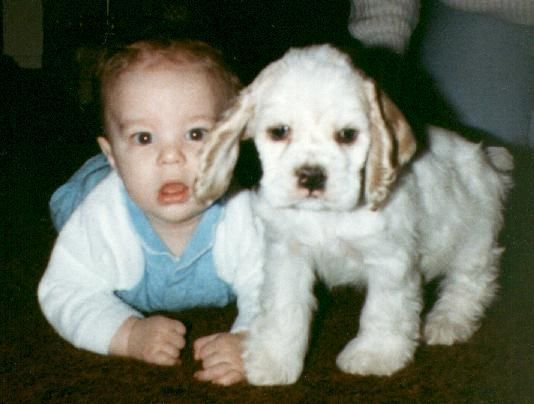 A baby is laying next to a white Cocker Spaniel puppy