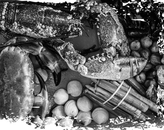A black and white photo of seafood including crabs and clams