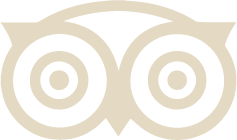A tripadvisor logo on a white background.