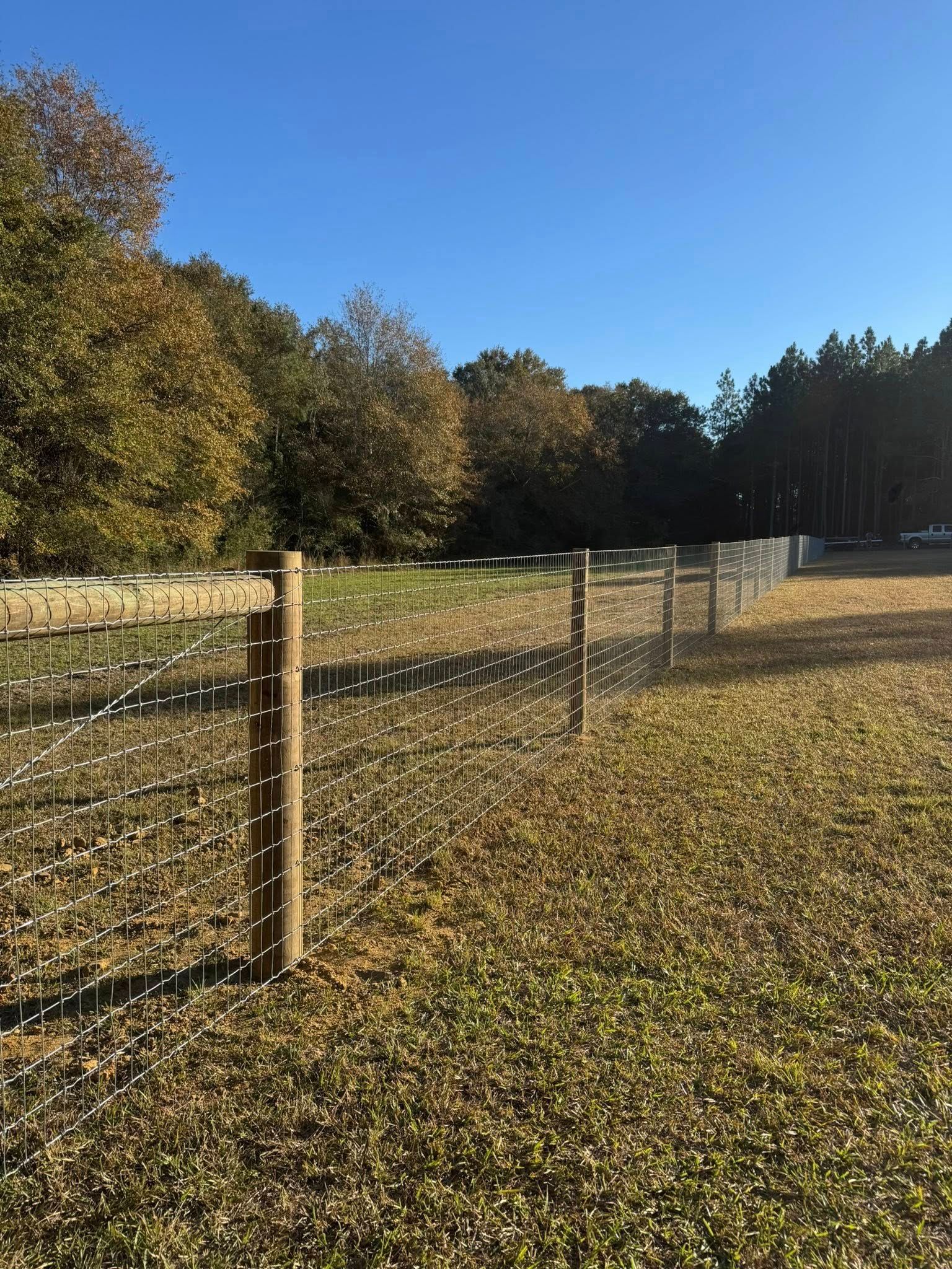 Rural fence lining a leaf-covered field beside trees under a clear blue sky