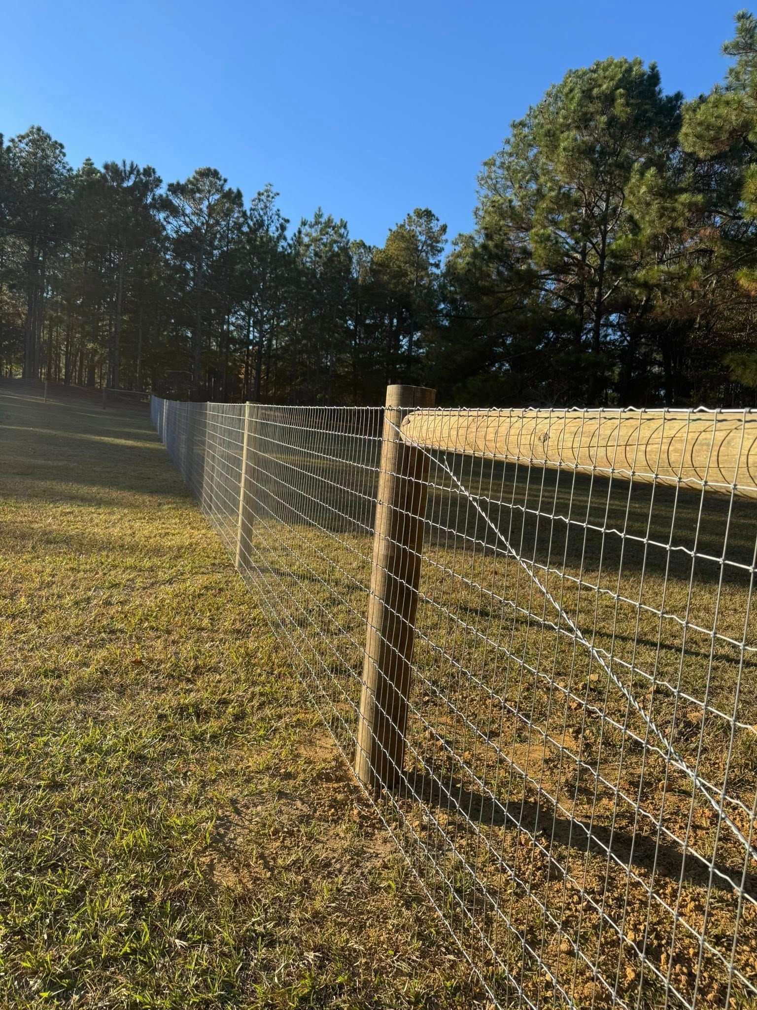 Wire fence in a sunlit grassy field with trees and a blue sky in the background