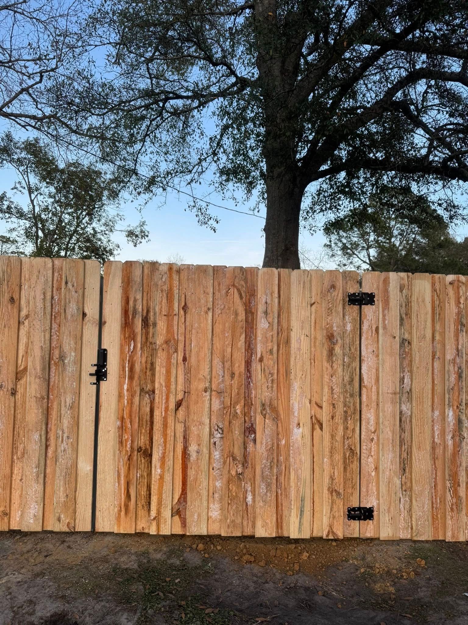 Wooden fence gate with black hinges, backed by a large tree and blue sky.