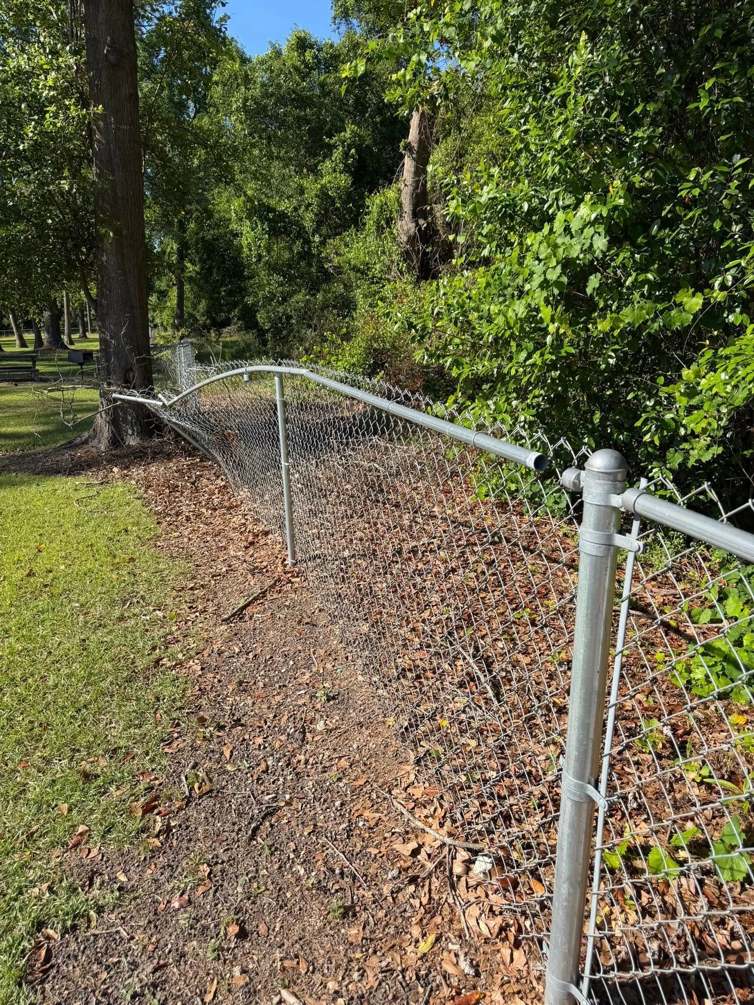 Metal fence along a leaf-covered path beside a wooded area and grassy lawn
