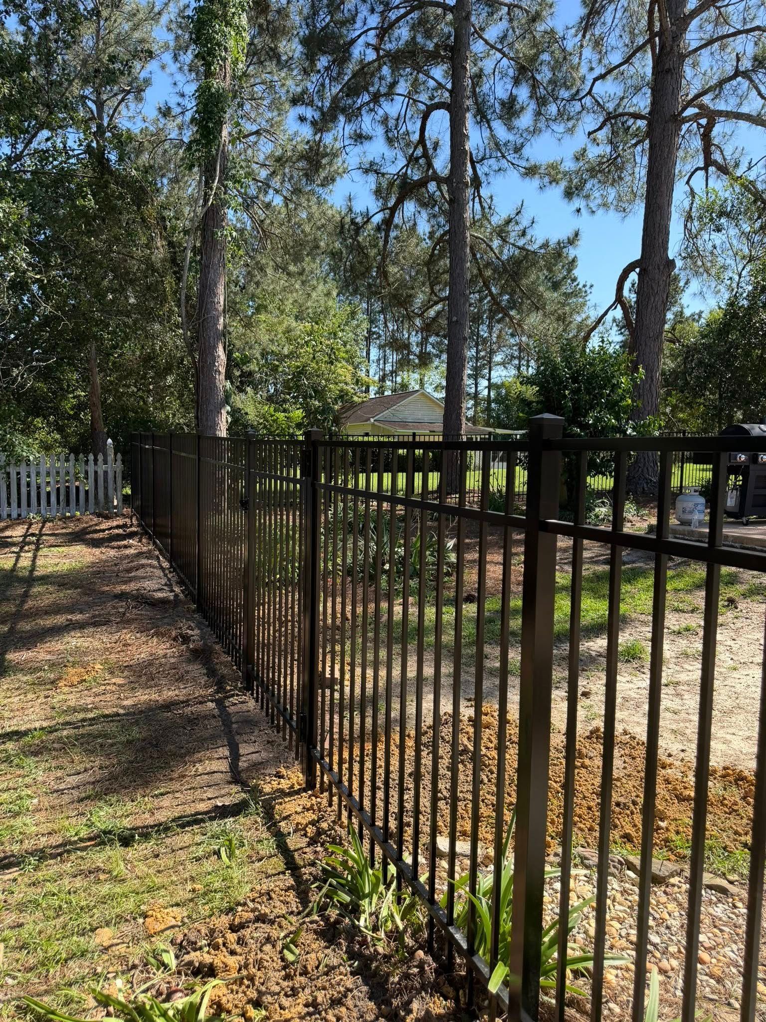 Black metal fence beside a wooded yard with tall pine trees and fallen leaves