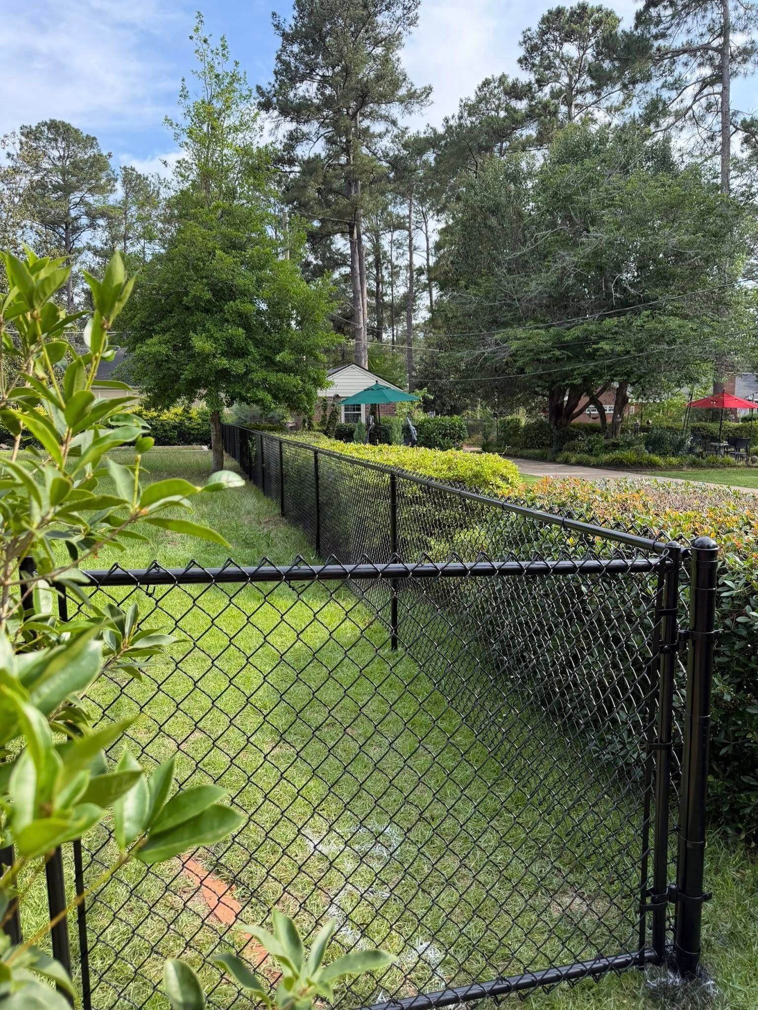 Black chain-link fence borders a lush green yard with trees and bushes under a clear sky.
