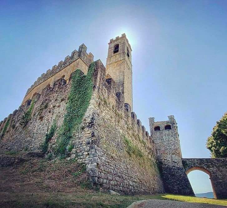 Mura e torre di un castello in pietra ricoperte di edera, viste dal basso contro un cielo azzurro.