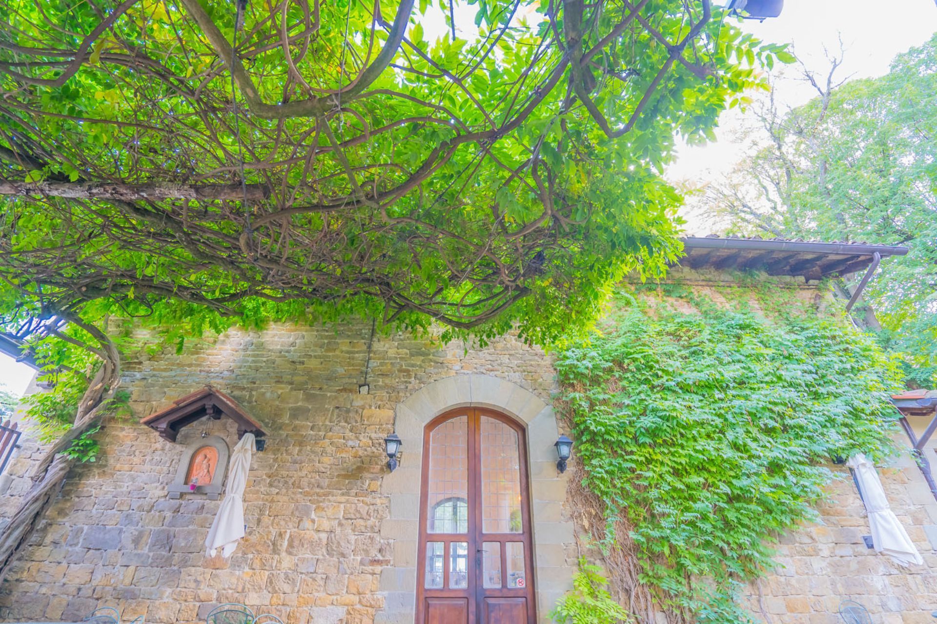 Casetta in pietra ricoperta di edera verde sotto la chioma di un albero frondoso, con porta di legno ad arco e piccole finestre.