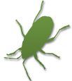 a silhouette of a green bug on a white background .