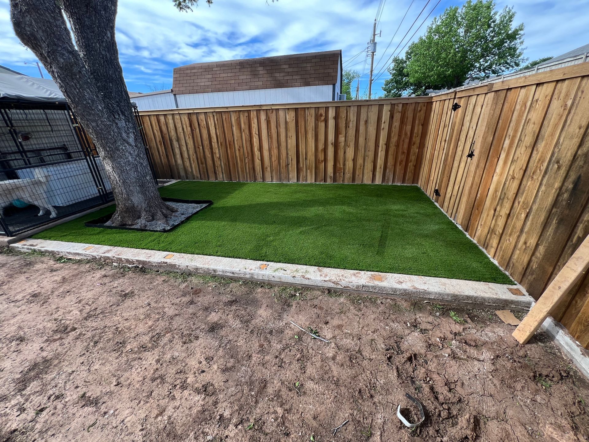 Newly sodded backyard bordered by a wooden fence and concrete edging