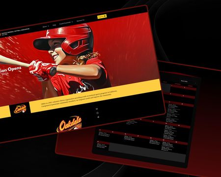 A computer screen with a picture of a baseball player on it