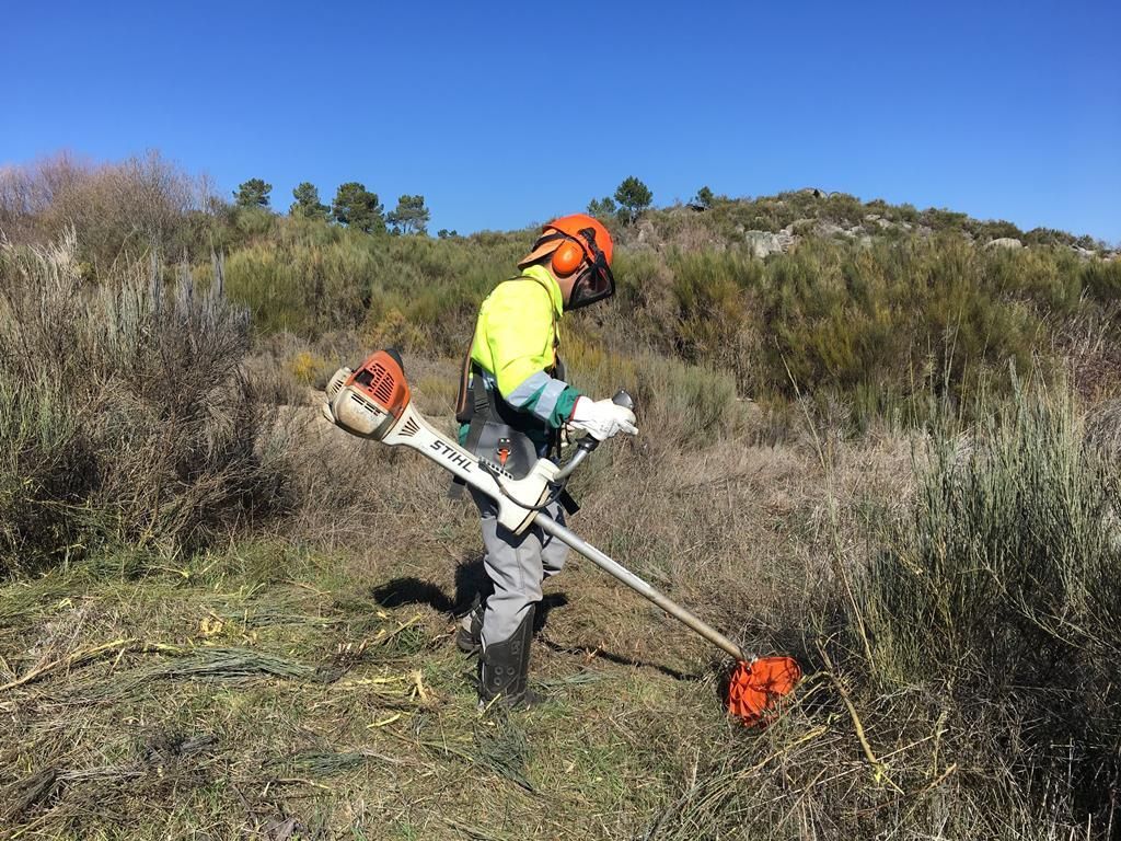 Limpeza de Terrenos