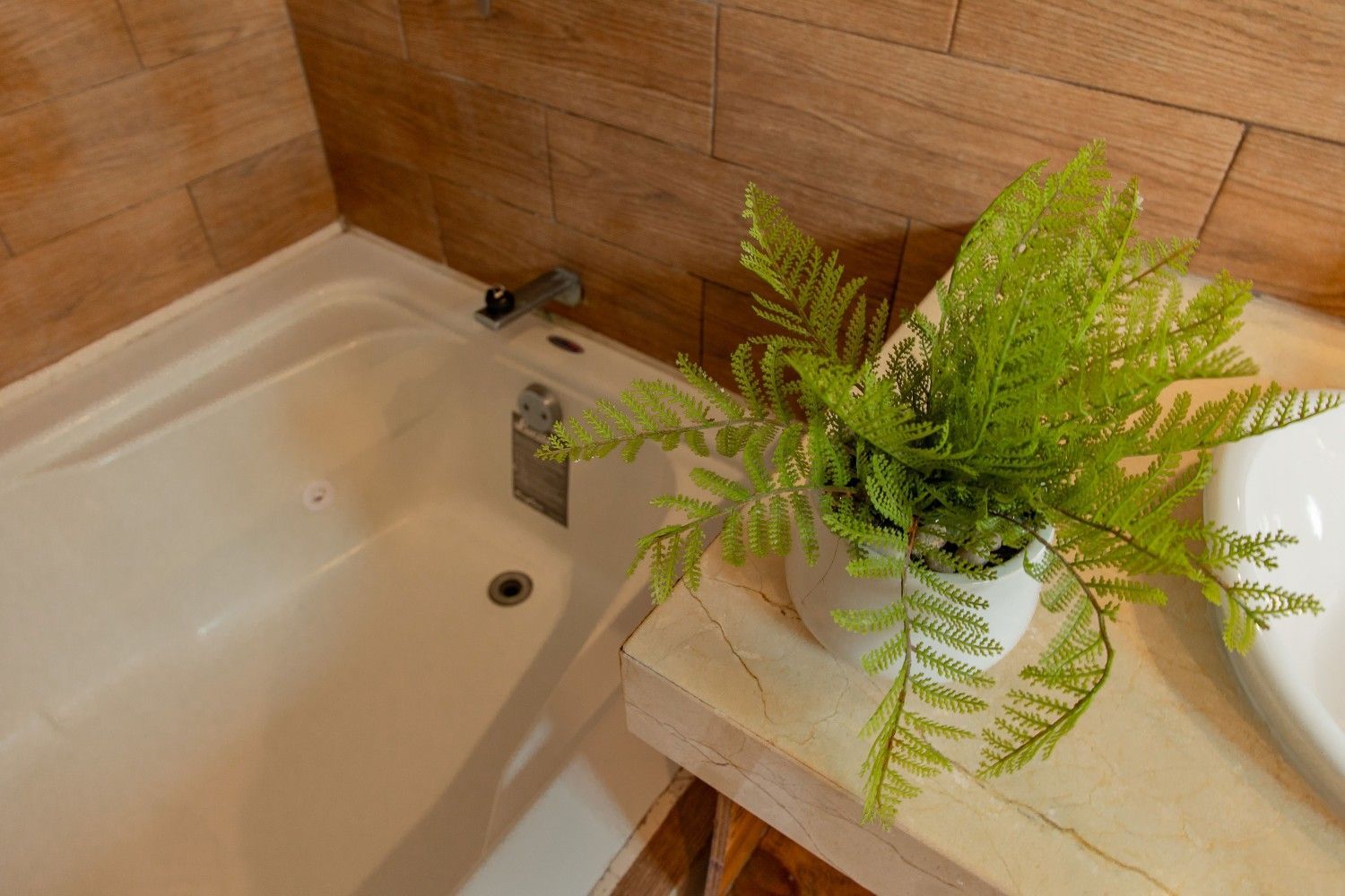 Bañera con azulejos beige y un helecho en maceta sobre una repisa.
