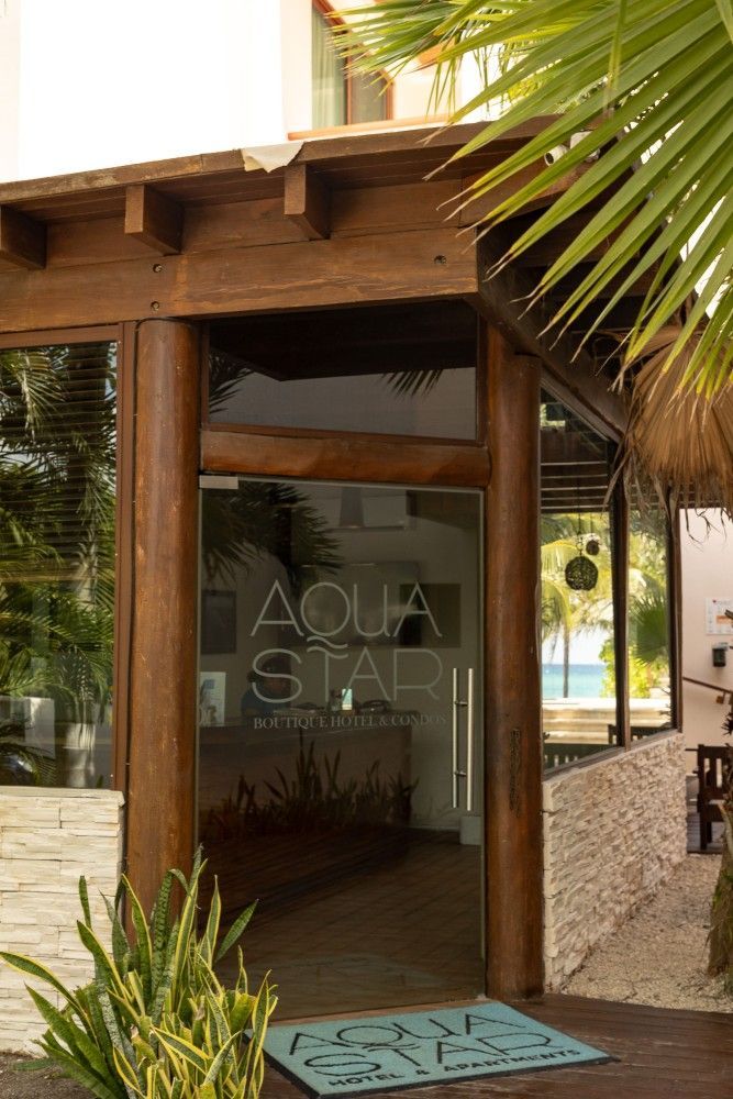 Entrada al Aqua Studio con puerta de cristal, vigas de madera y plantas tropicales.