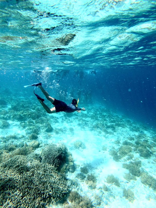 Un buceador nadando sobre un arrecife de coral en aguas cristalinas de color azul.