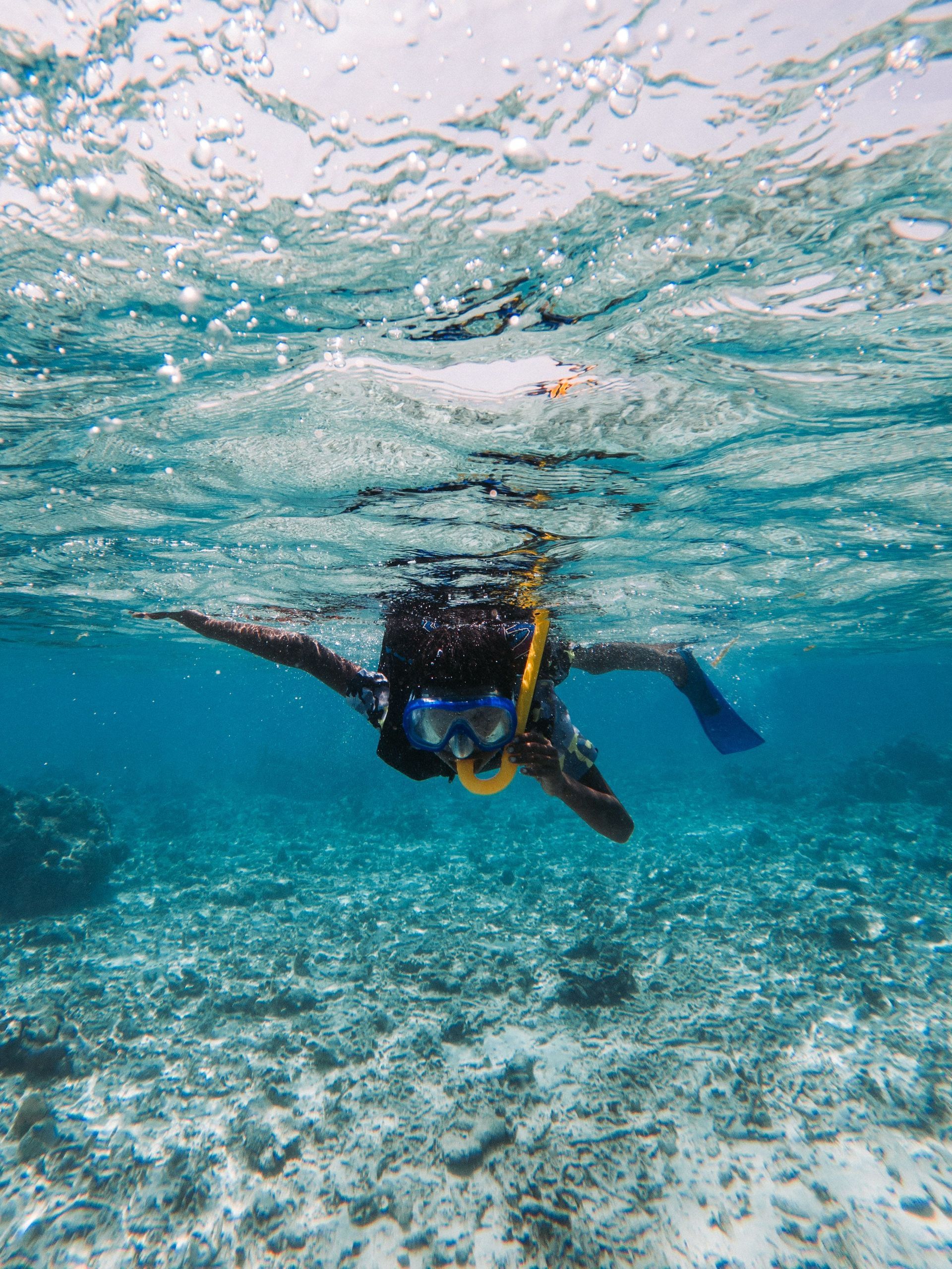 Un buceador nada bajo el agua sobre un arrecife de coral en aguas cristalinas de color azul.