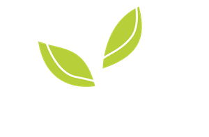 plant seedling icon
