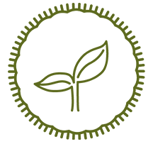 seedling icon
