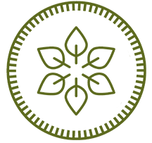 plant leaves icon
