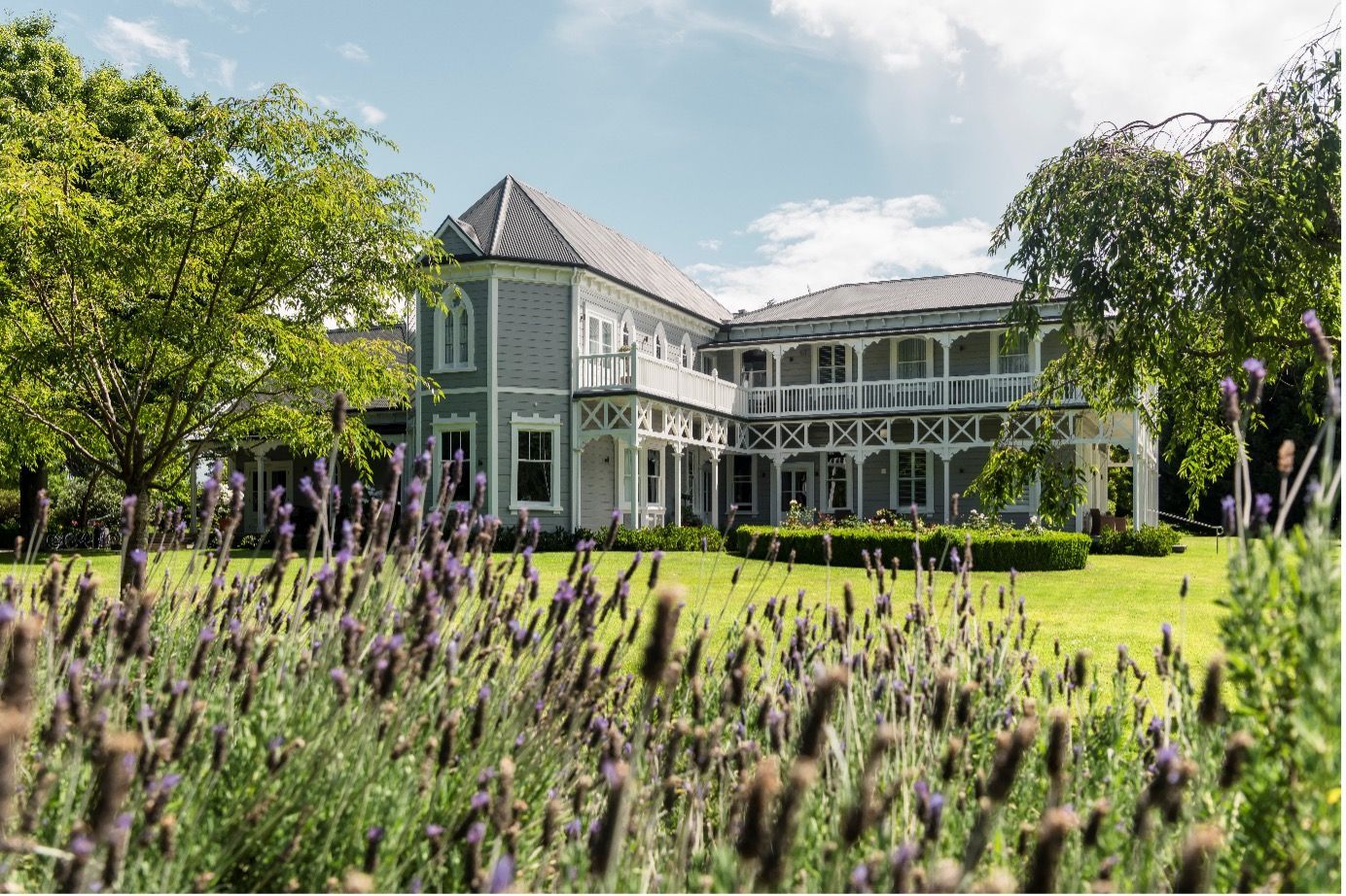 Harvest Estate, Blenheim