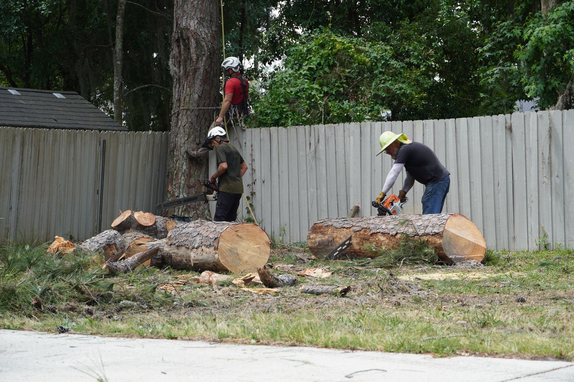 Photo Gallery - Duce Tree Service