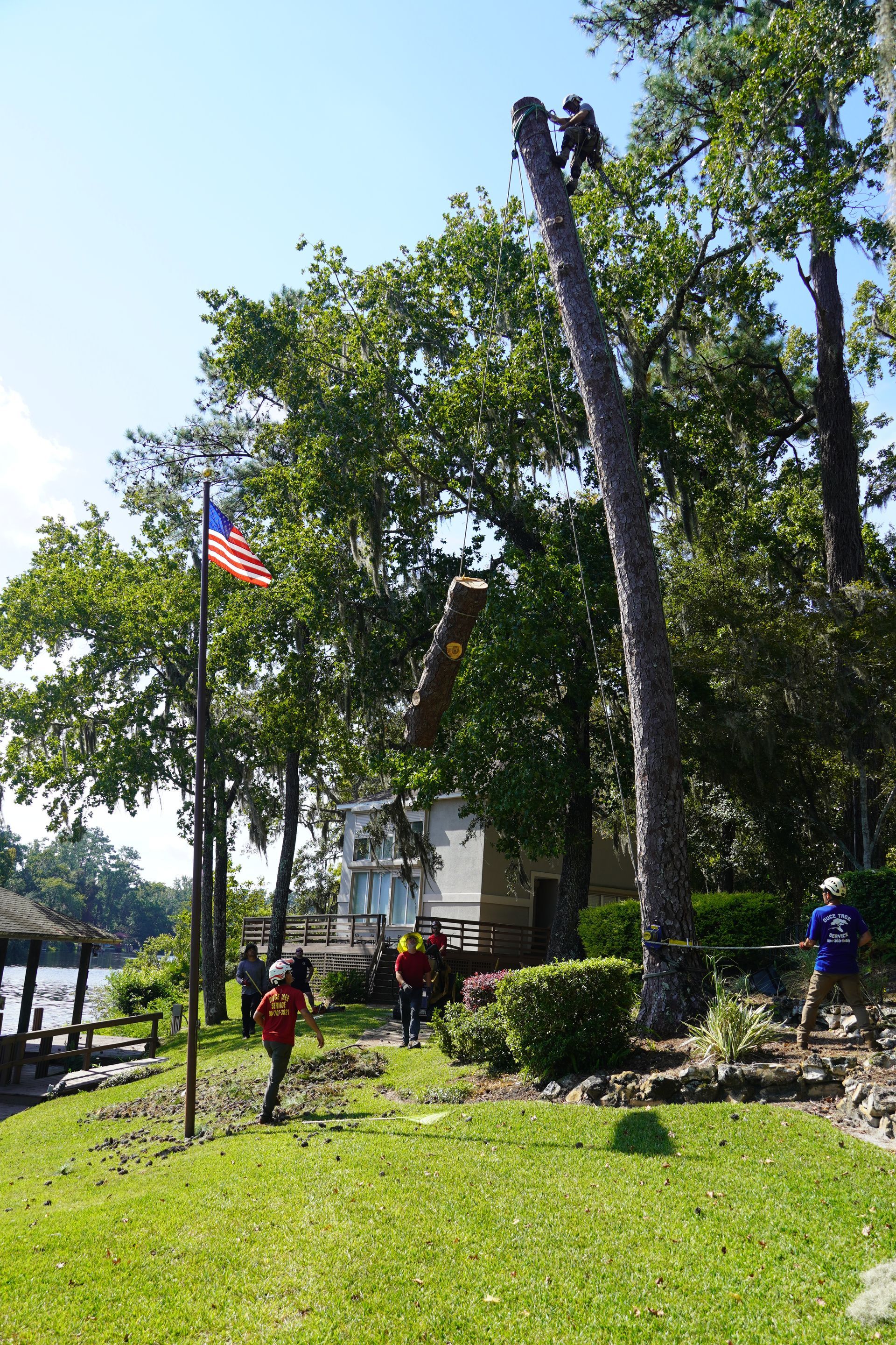 Tree trimmer atop a tall tree; crew on the ground; American flag on a pole; sunny day.