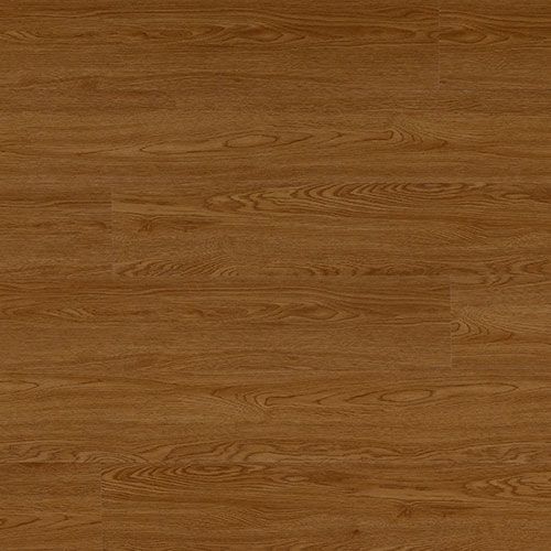 T15-LVT05-00004