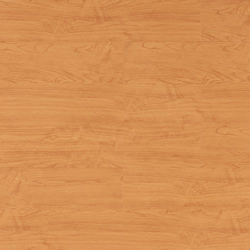 T15-LVT05-06162