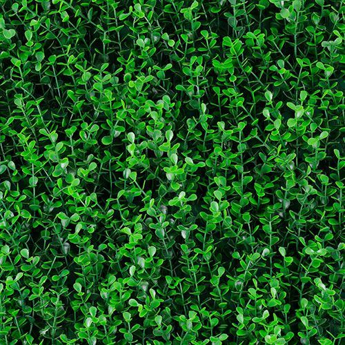 T20-GA006-00004