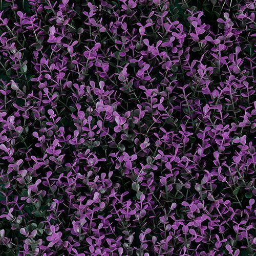 T20-GA010-00008
