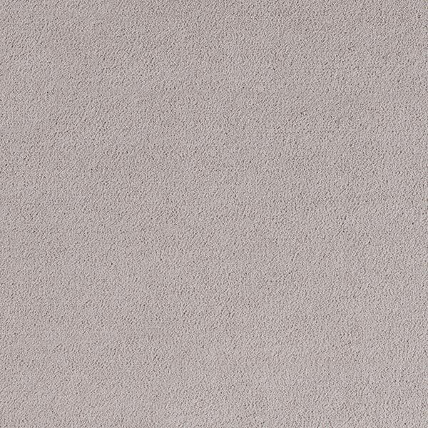 ALLEGRO Winter Wheat