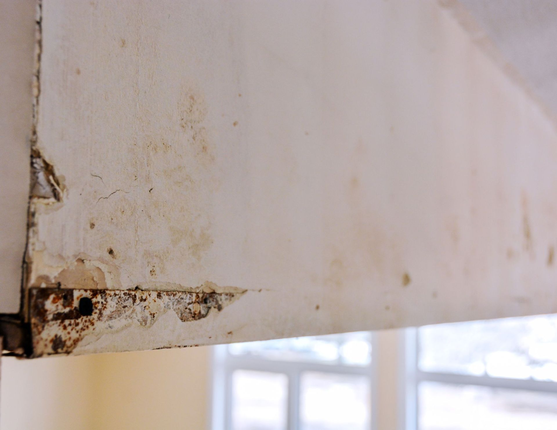 Getting Rid of Mold on Drywall