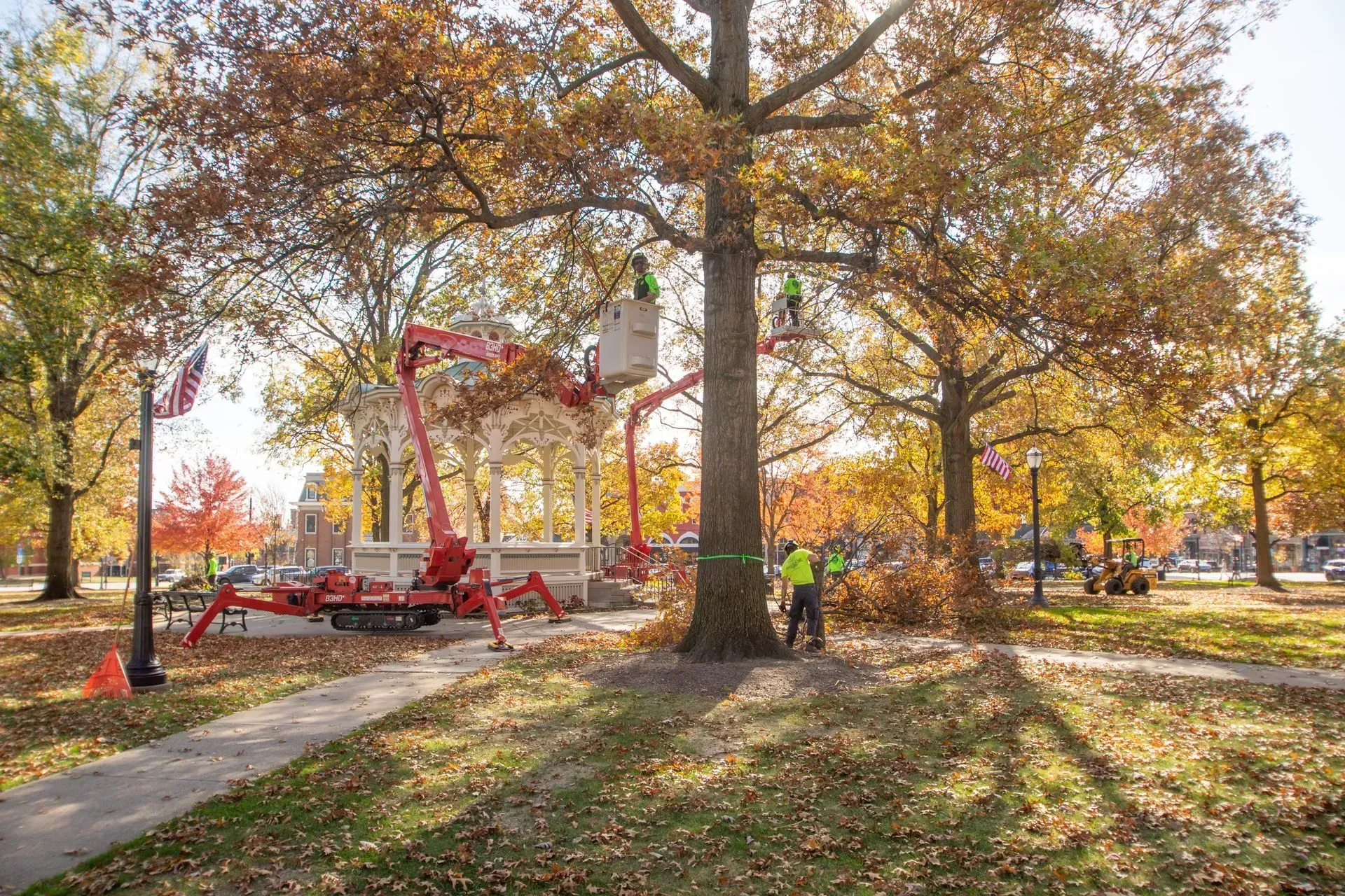 Arborists trimming a tree in a park with fall foliage, using a lift.