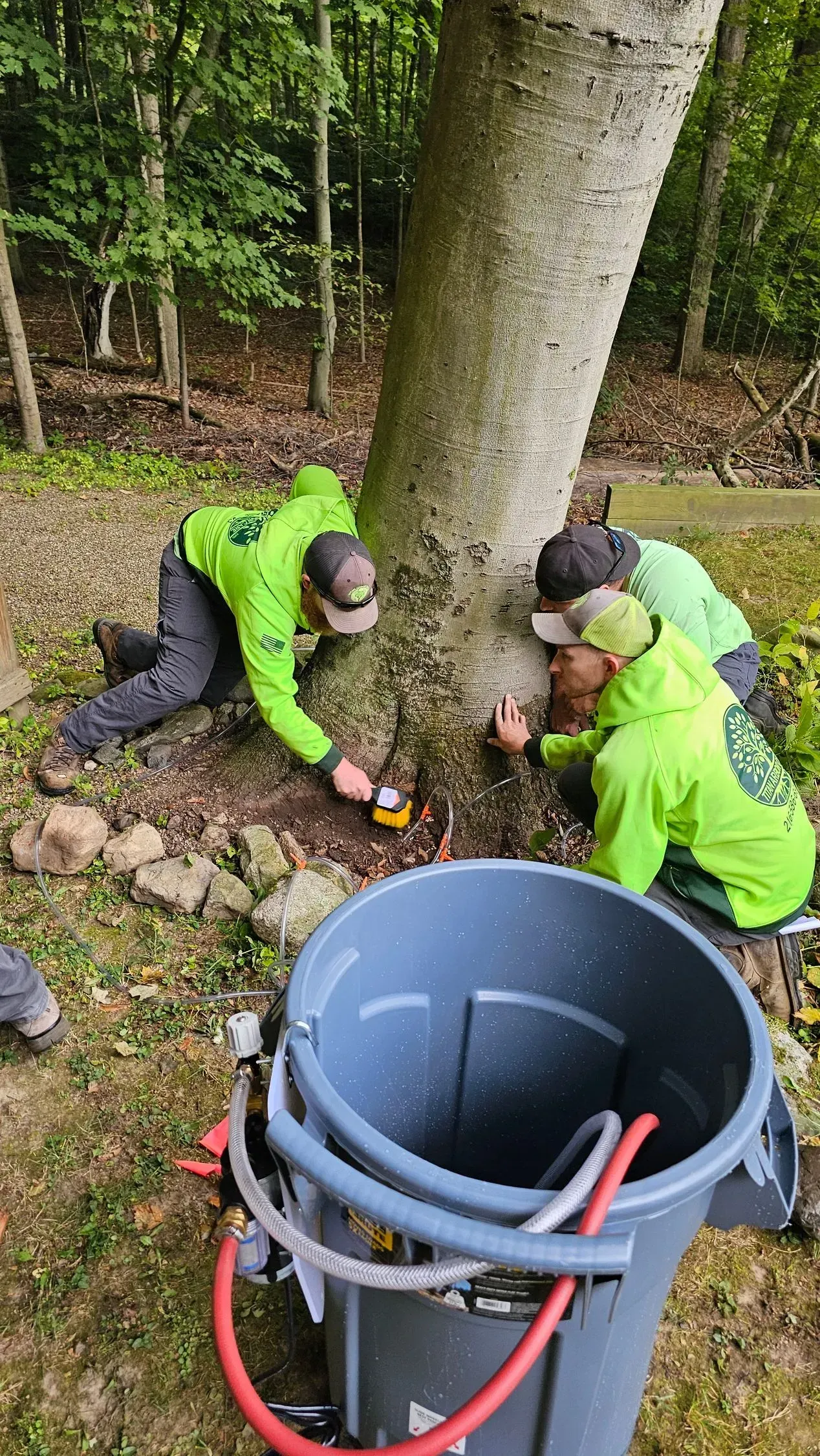 Three people in green jackets working near a tree with a bucket and hoses. Outdoors, near a forest.