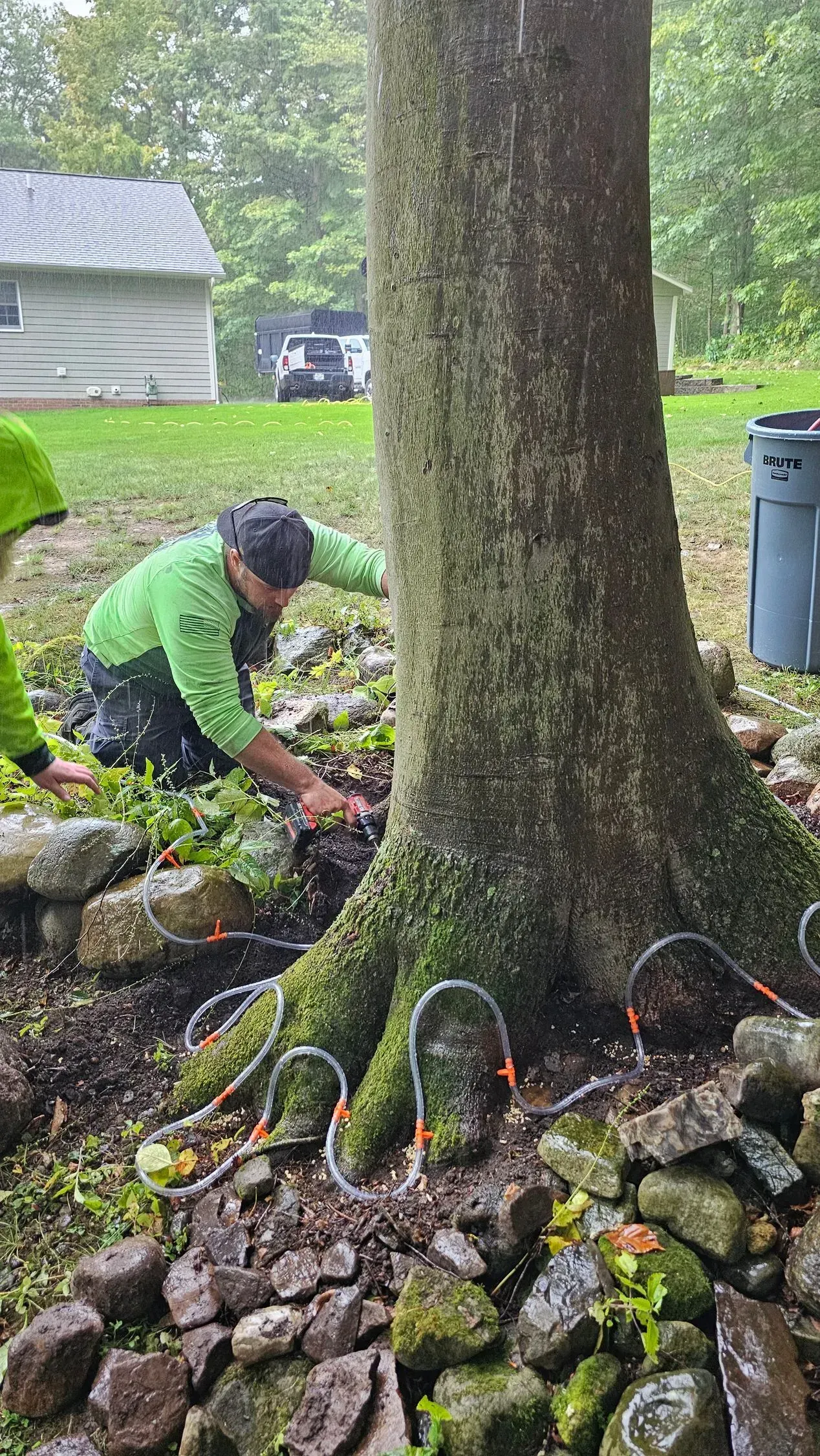 Person working near tree trunk, surrounded by rocks. Green shirt, rainy outdoor setting.