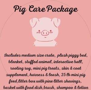 Pig care package