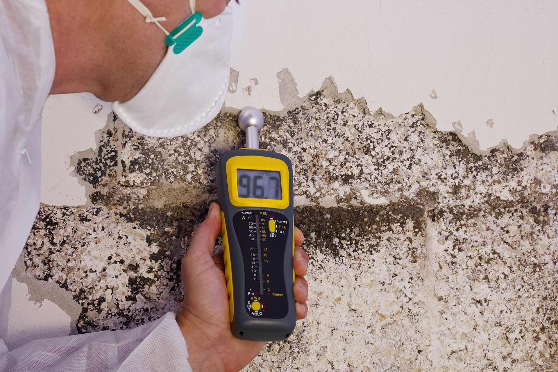 Do You Need a Mold Inspection? Signs & Process Explained