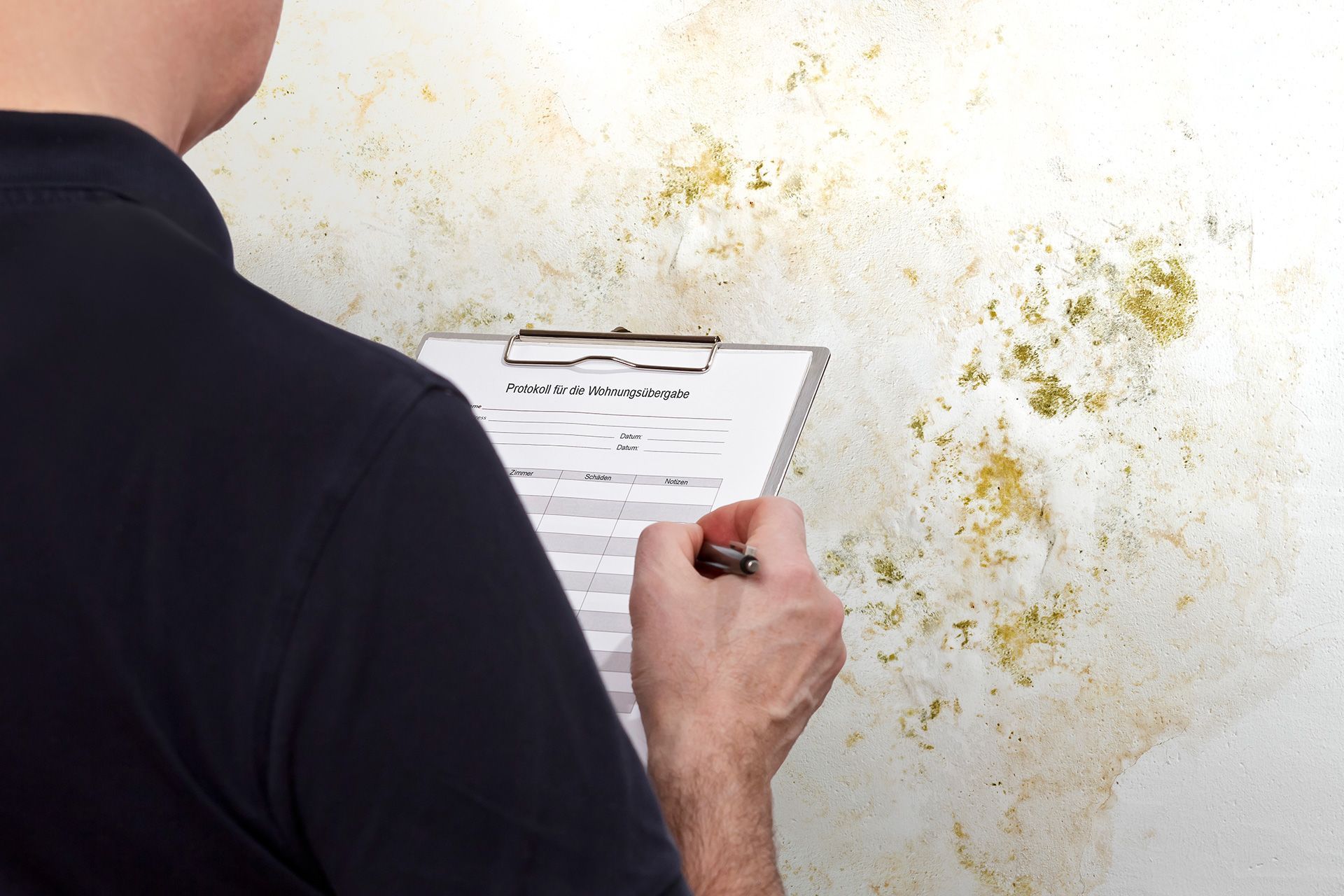 Mold Visual Inspection Services: What Homeowners Should Know