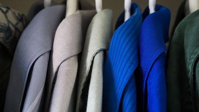 Are Moths Damaging Your Clothes?