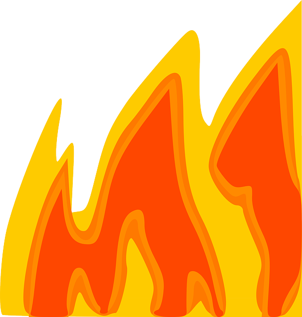 How to Create Defensible Space Around Your Property