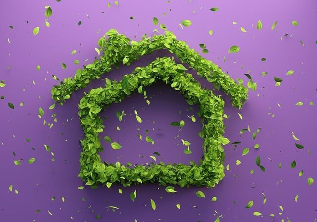 Eco-Friendly Home Upgrades: What They Mean for Your Next Home Inspection