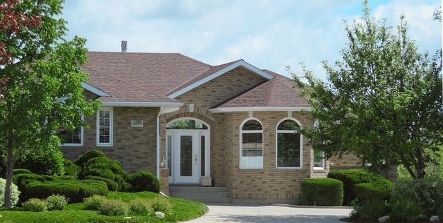 Preventing Damage from Trees Above Ground