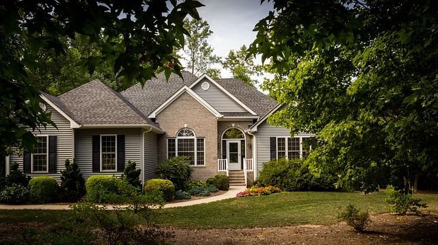 Why Trimming Trees Near Your Home is More Important Than You Think