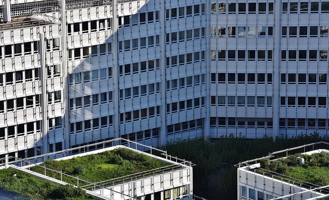 A Green Roof – Is It Right for You?