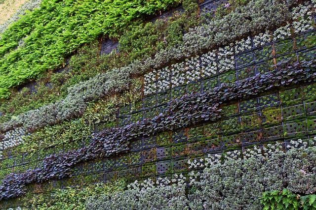 What is a Bio Wall and How Does it Work?