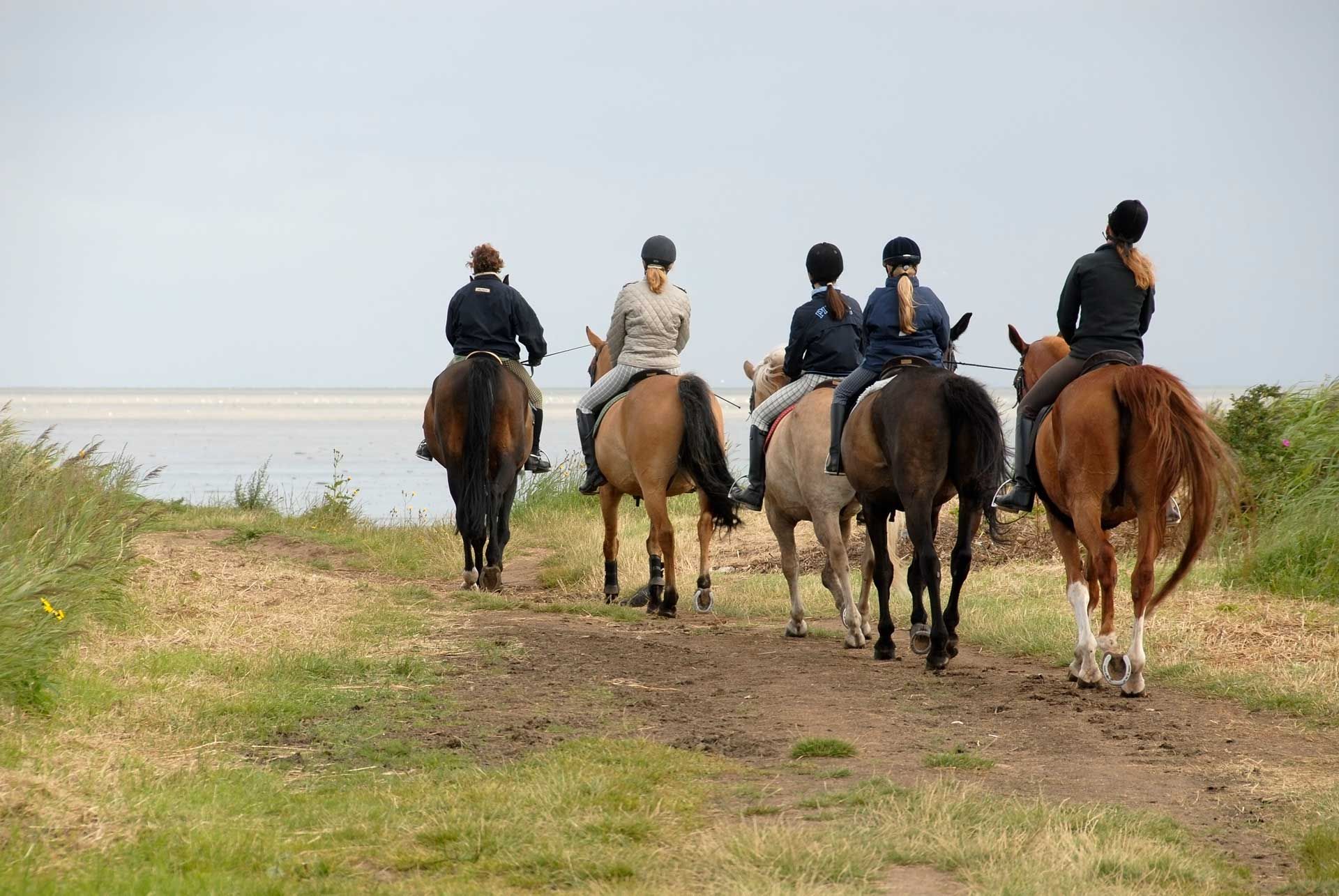 Group of people horseback riding along a dirt path next to water.