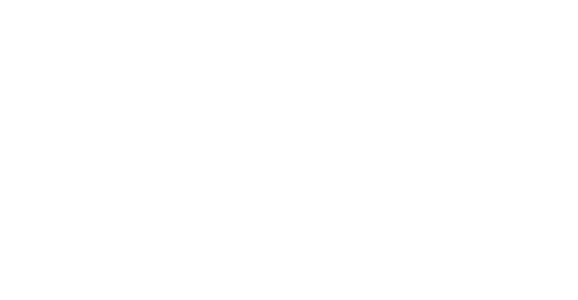 Two vertical lines of slightly different width.