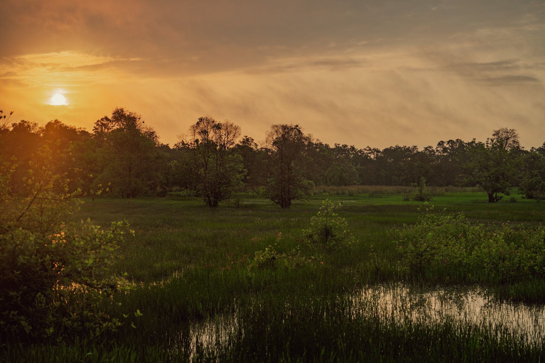 northern plain cambodia